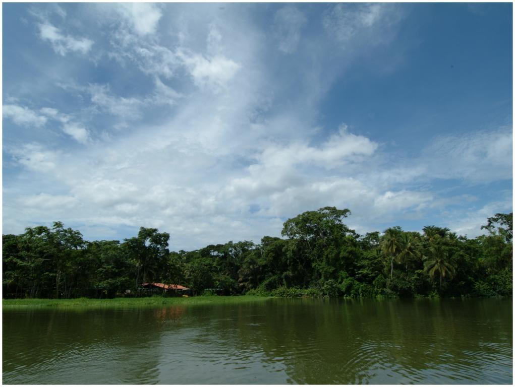 Lirio Lodge Barra de Pacuare Luaran gambar
