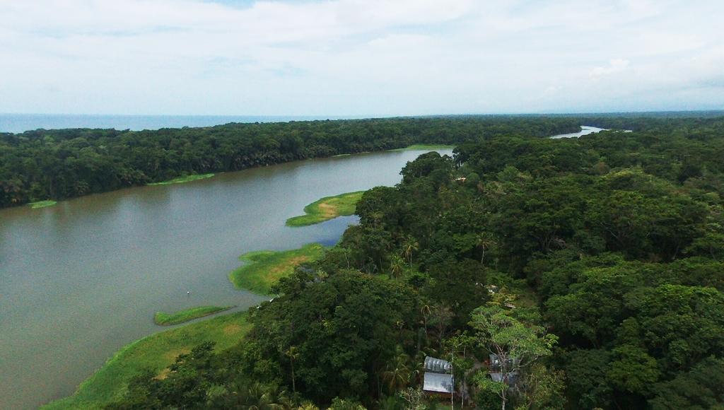 Lirio Lodge Barra de Pacuare Luaran gambar
