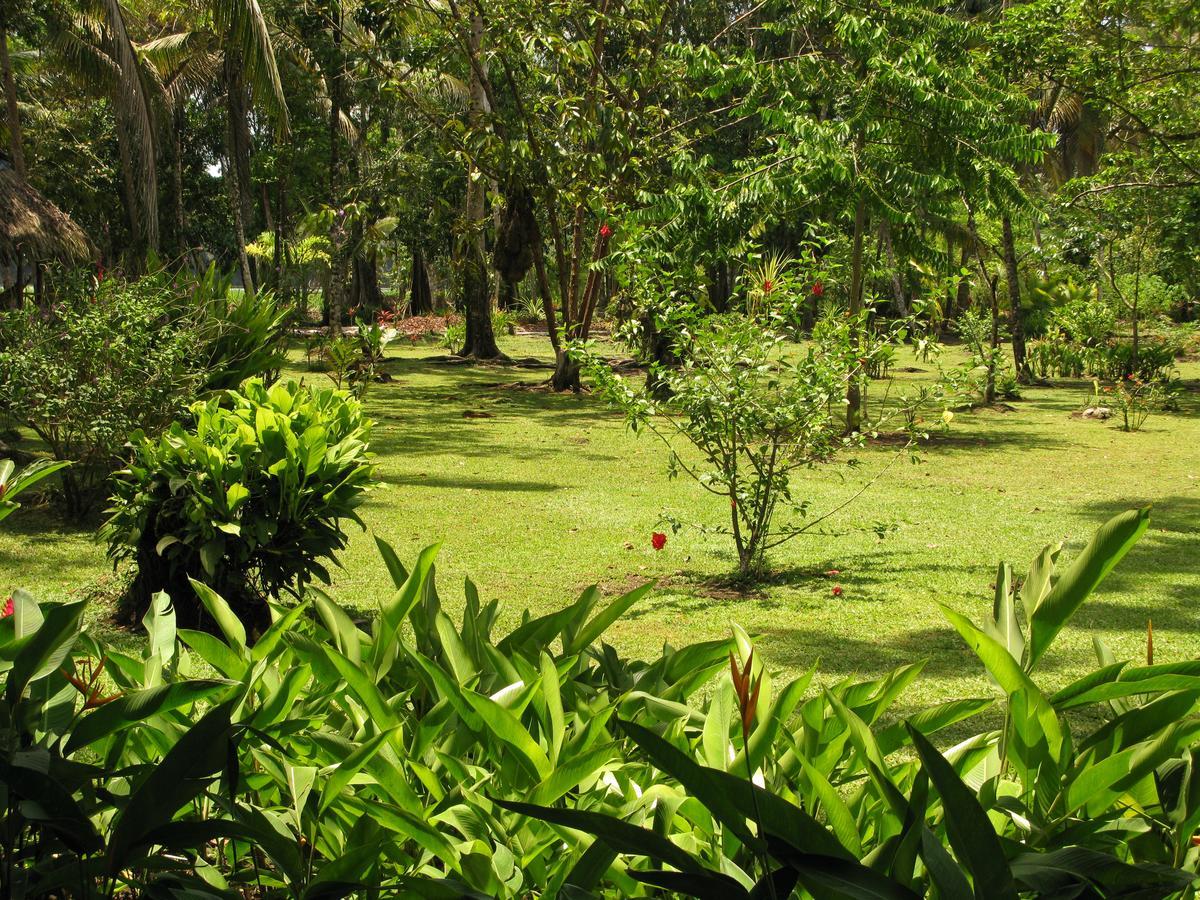 Lirio Lodge Barra de Pacuare Luaran gambar