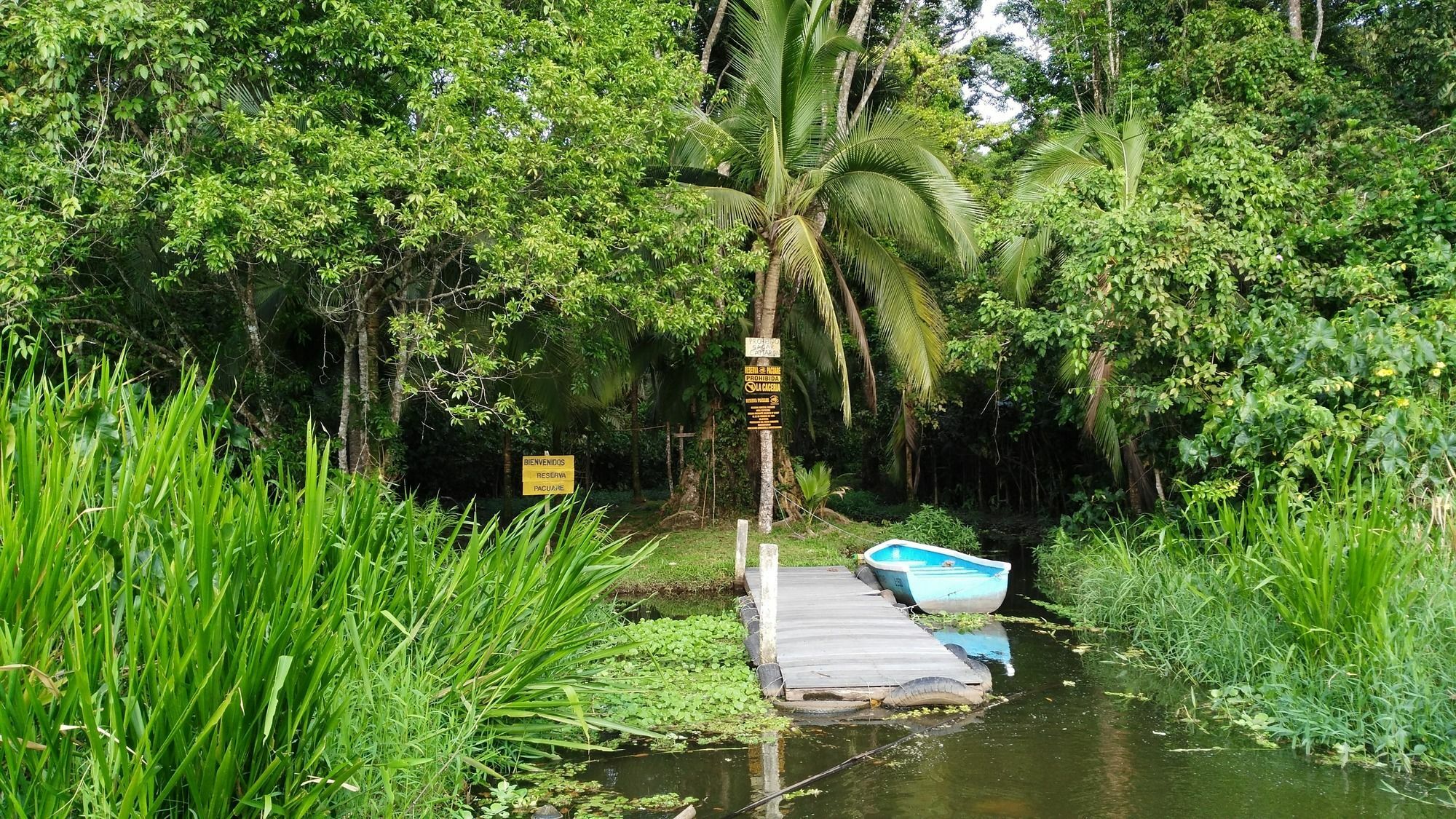 Lirio Lodge Barra de Pacuare Luaran gambar