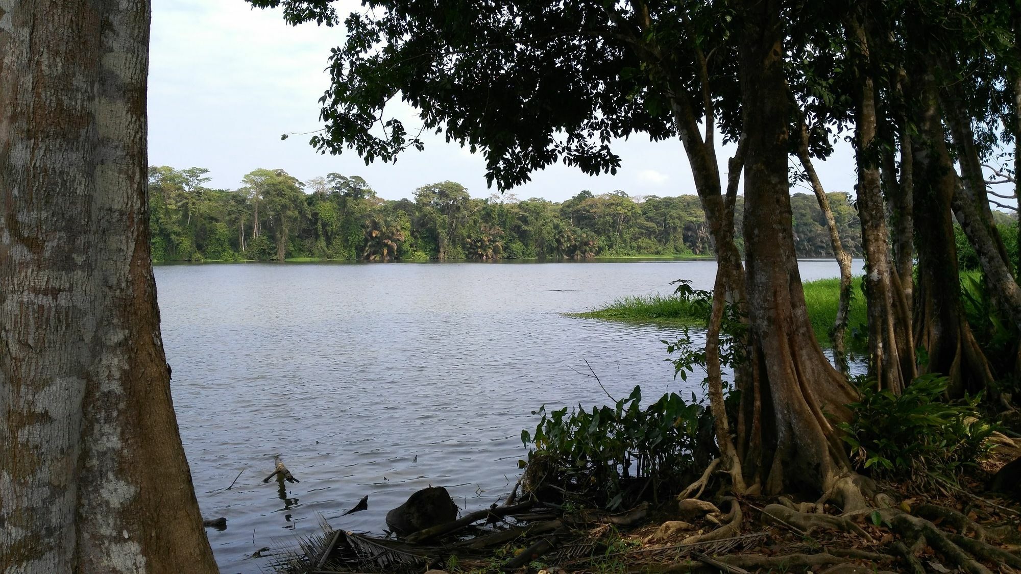 Lirio Lodge Barra de Pacuare Luaran gambar