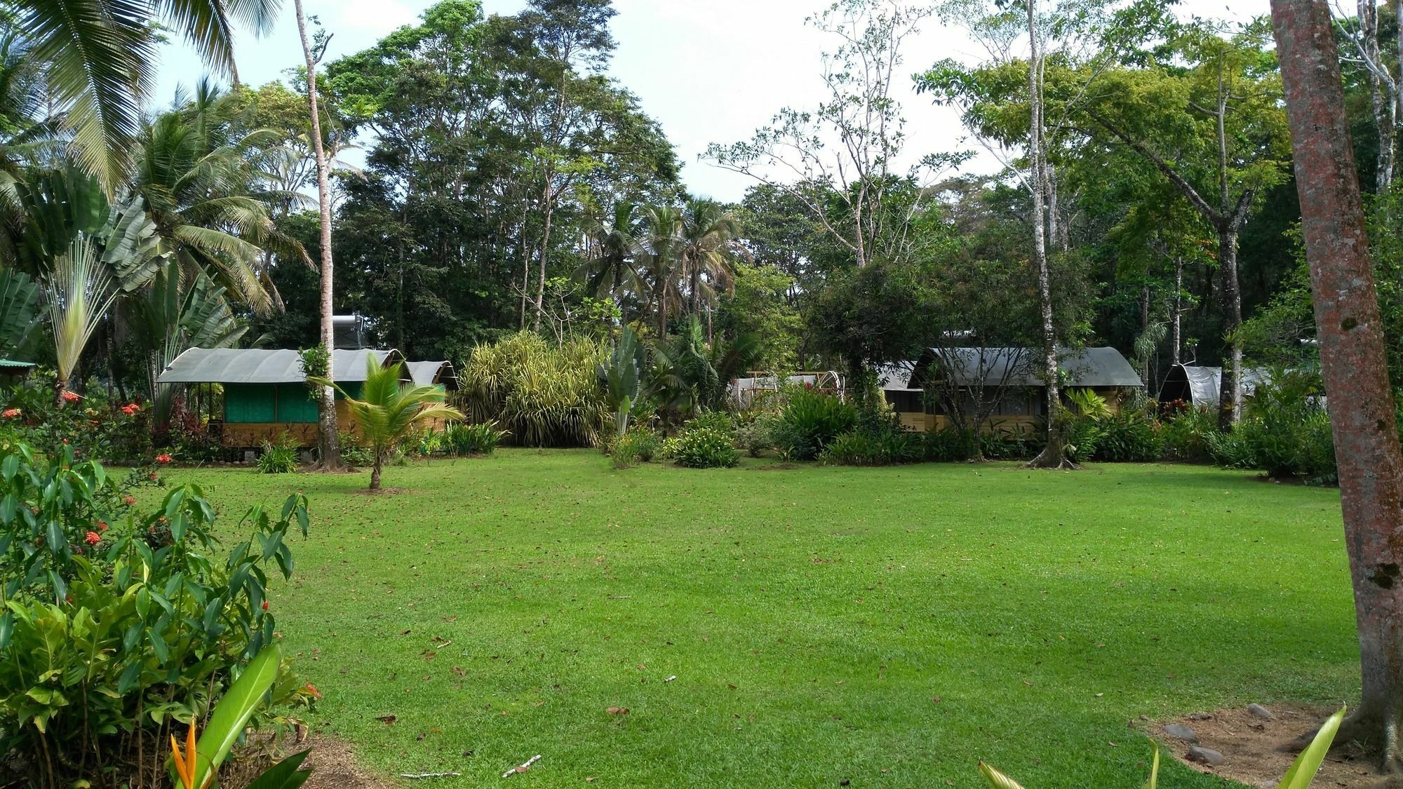 Lirio Lodge Barra de Pacuare Luaran gambar