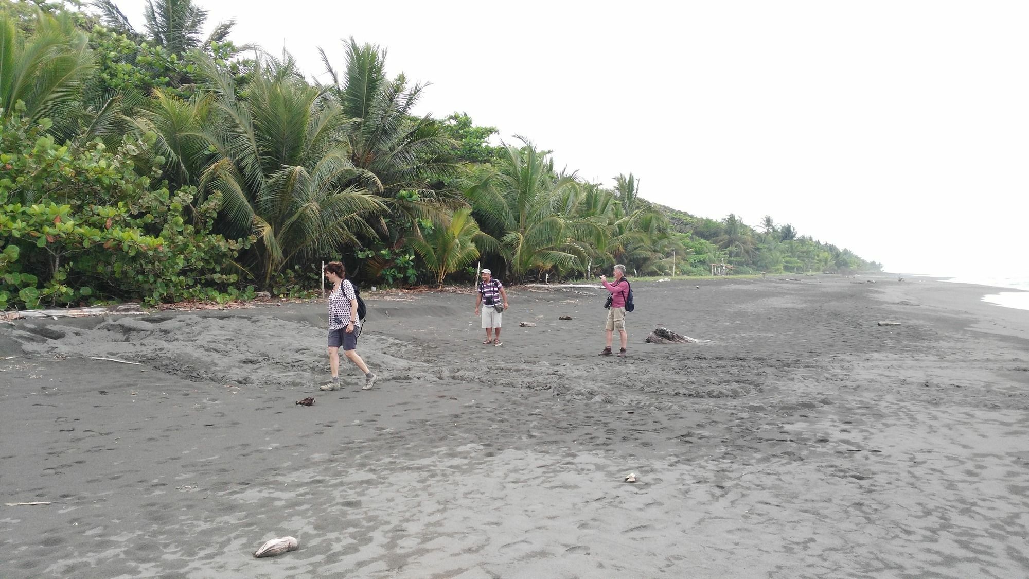 Lirio Lodge Barra de Pacuare Luaran gambar