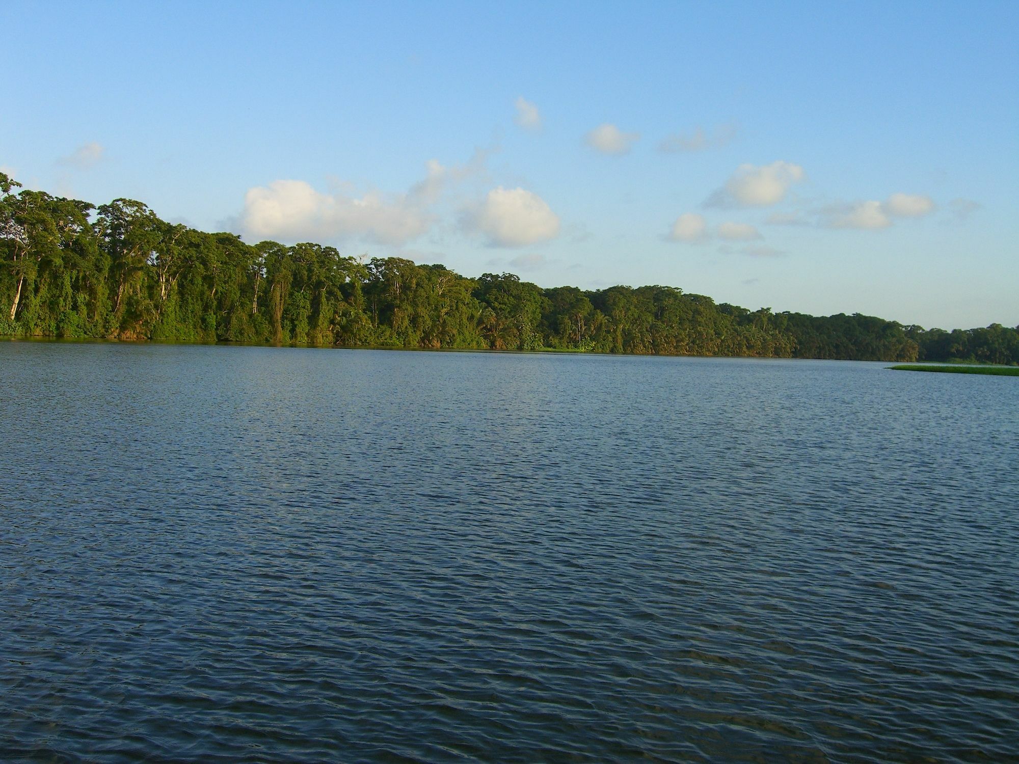 Lirio Lodge Barra de Pacuare Luaran gambar
