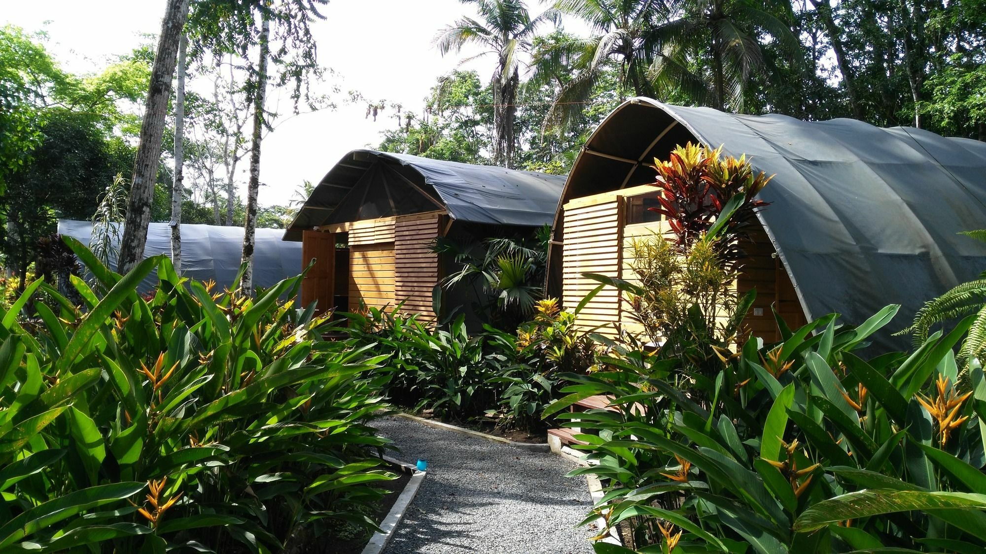 Lirio Lodge Barra de Pacuare Luaran gambar