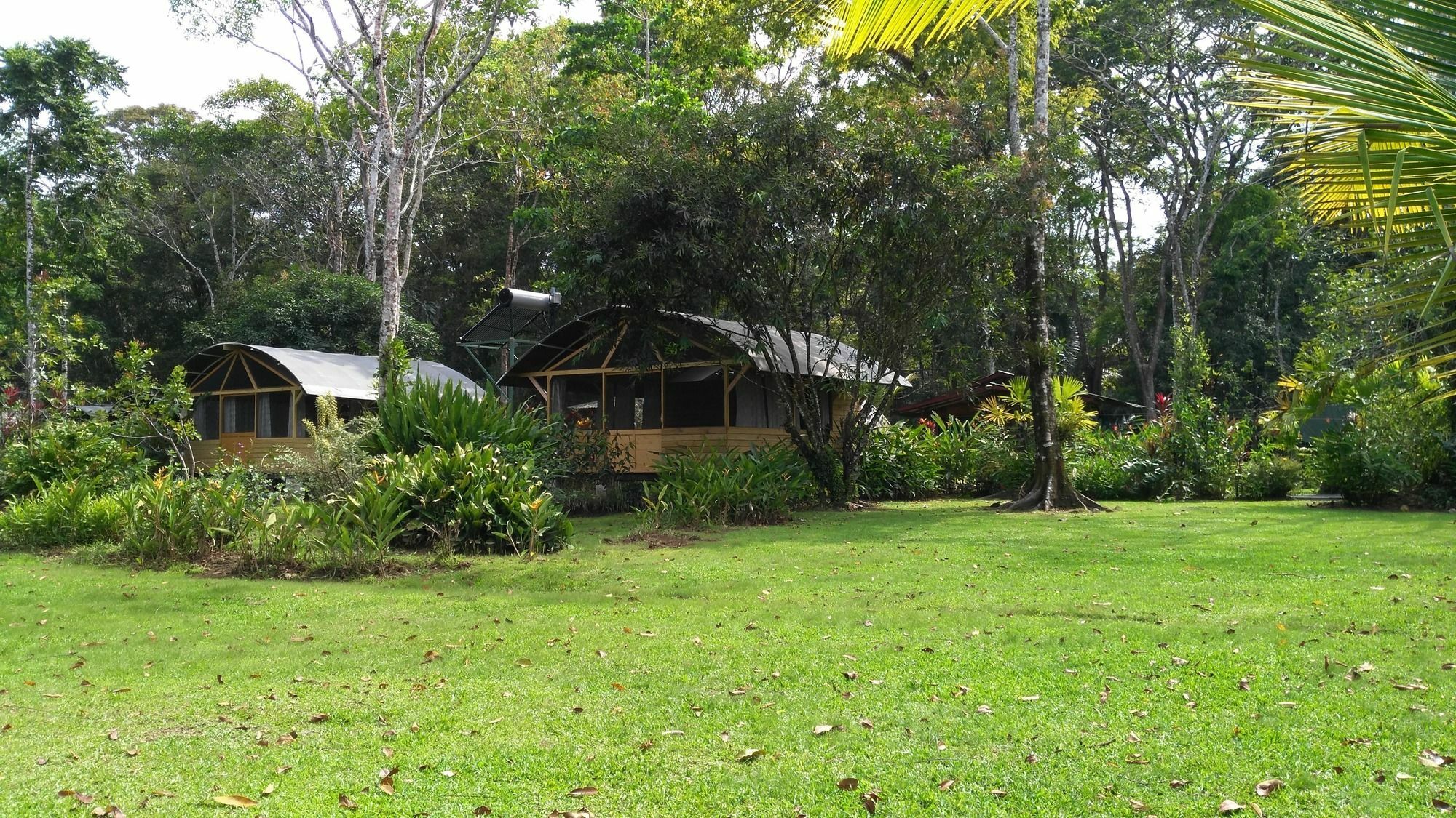 Lirio Lodge Barra de Pacuare Luaran gambar
