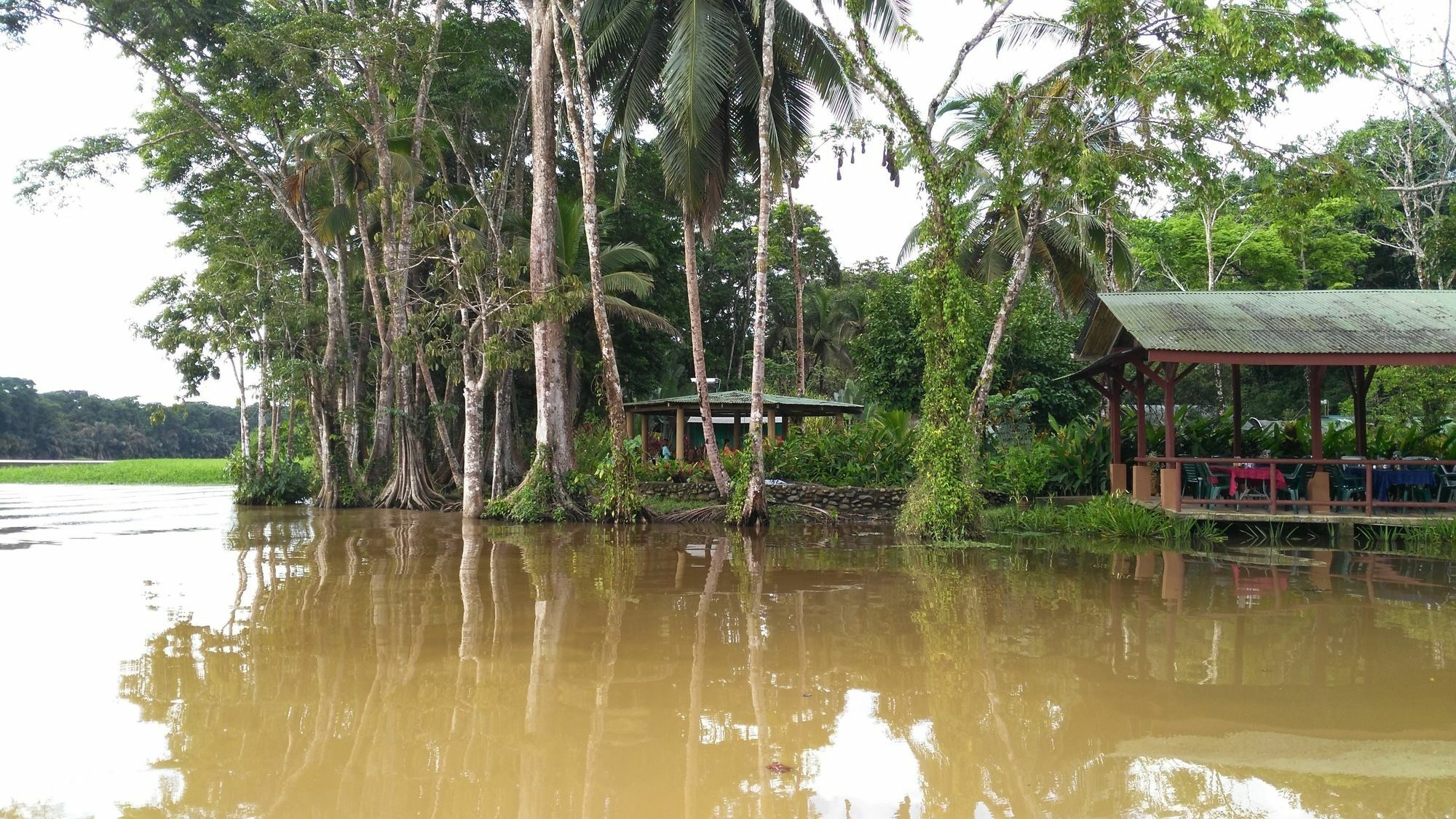 Lirio Lodge Barra de Pacuare Luaran gambar