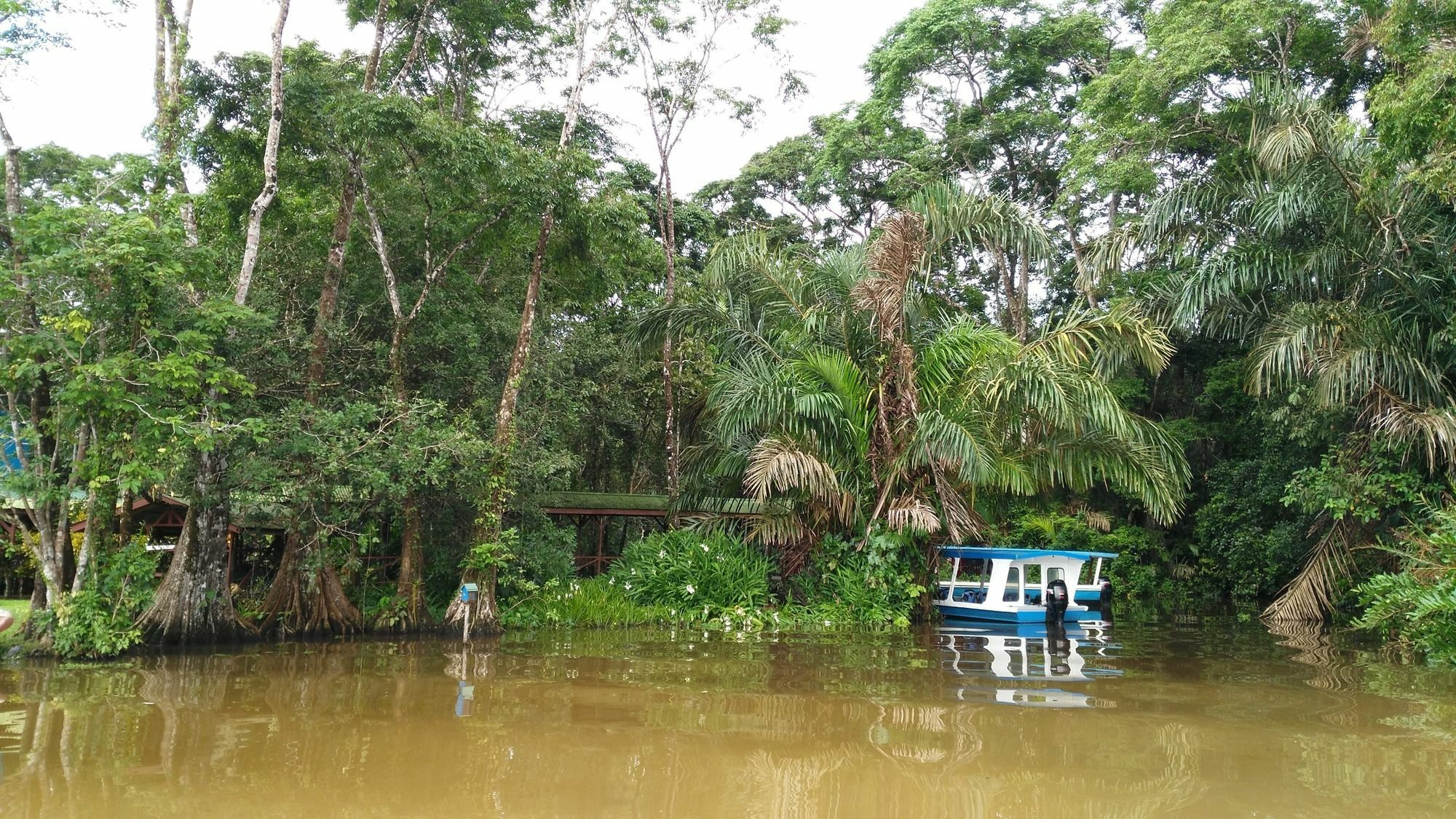 Lirio Lodge Barra de Pacuare Luaran gambar