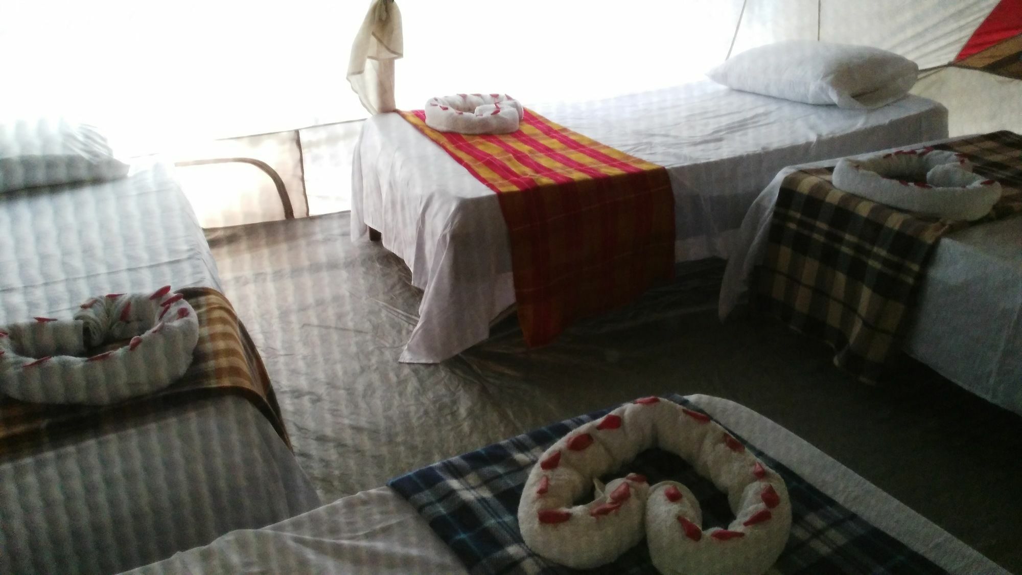Lirio Lodge Barra de Pacuare Luaran gambar